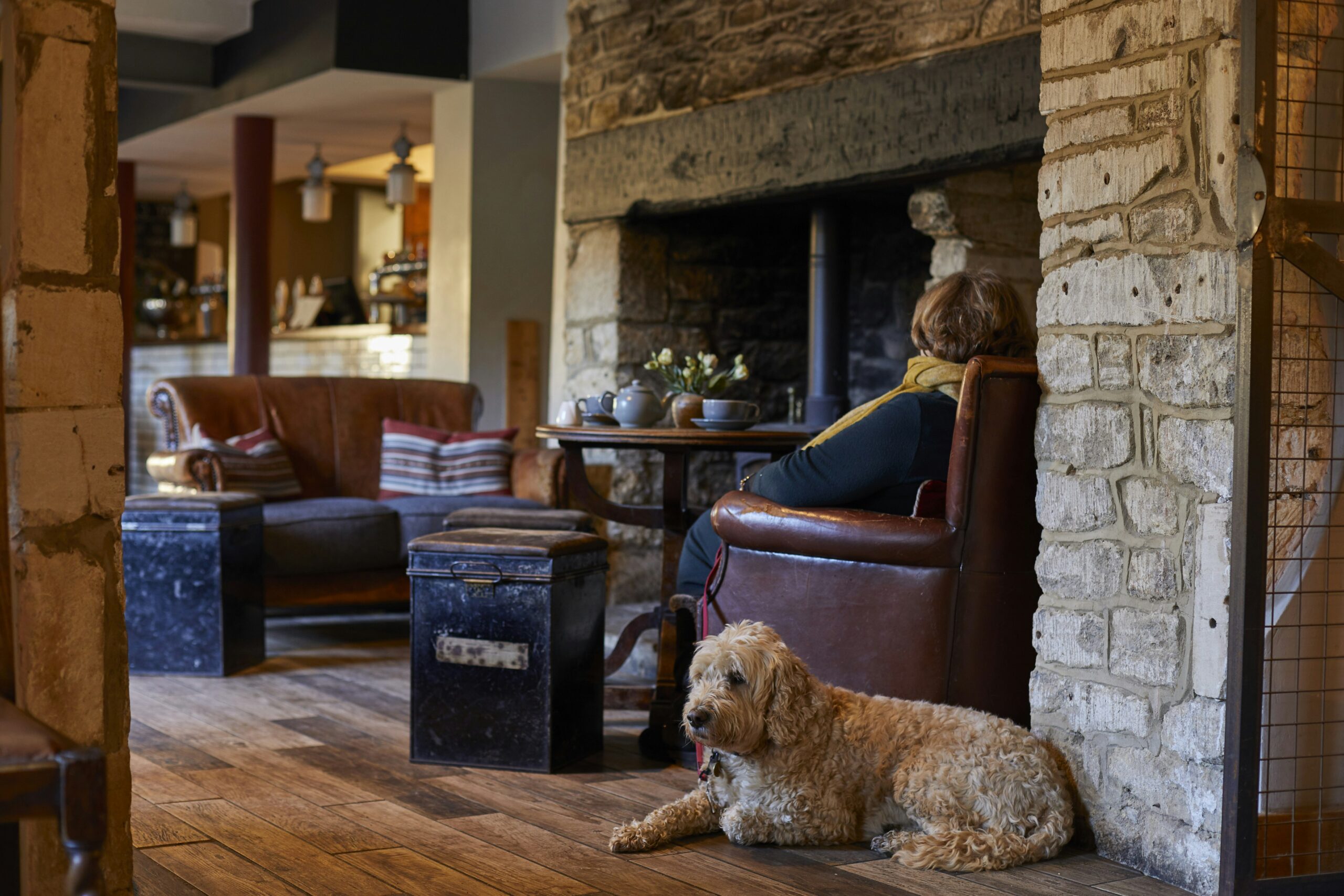 Timbrell’s Yard Jan 2023