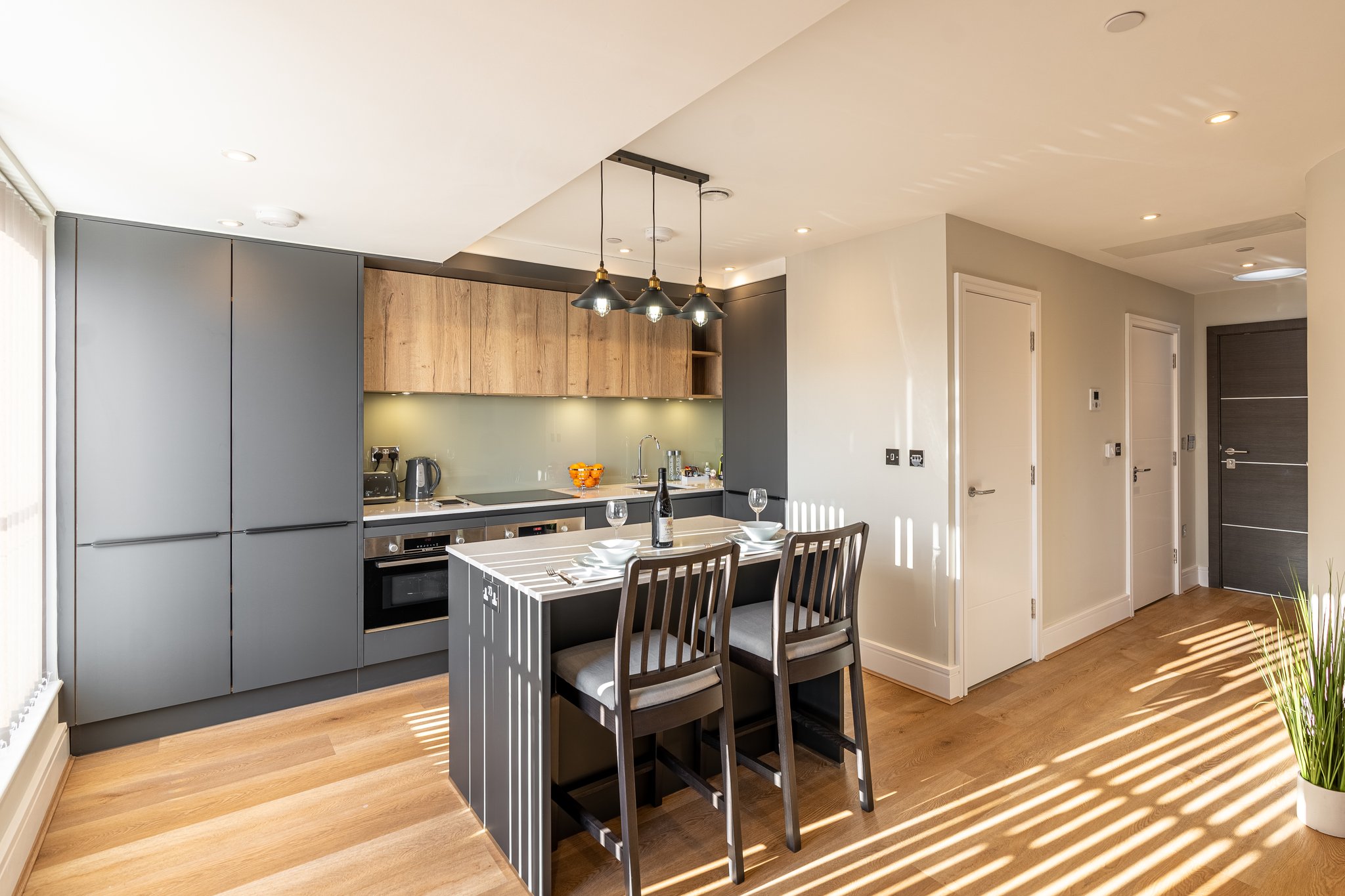 One_Bedroom_Apartment_(5)_S