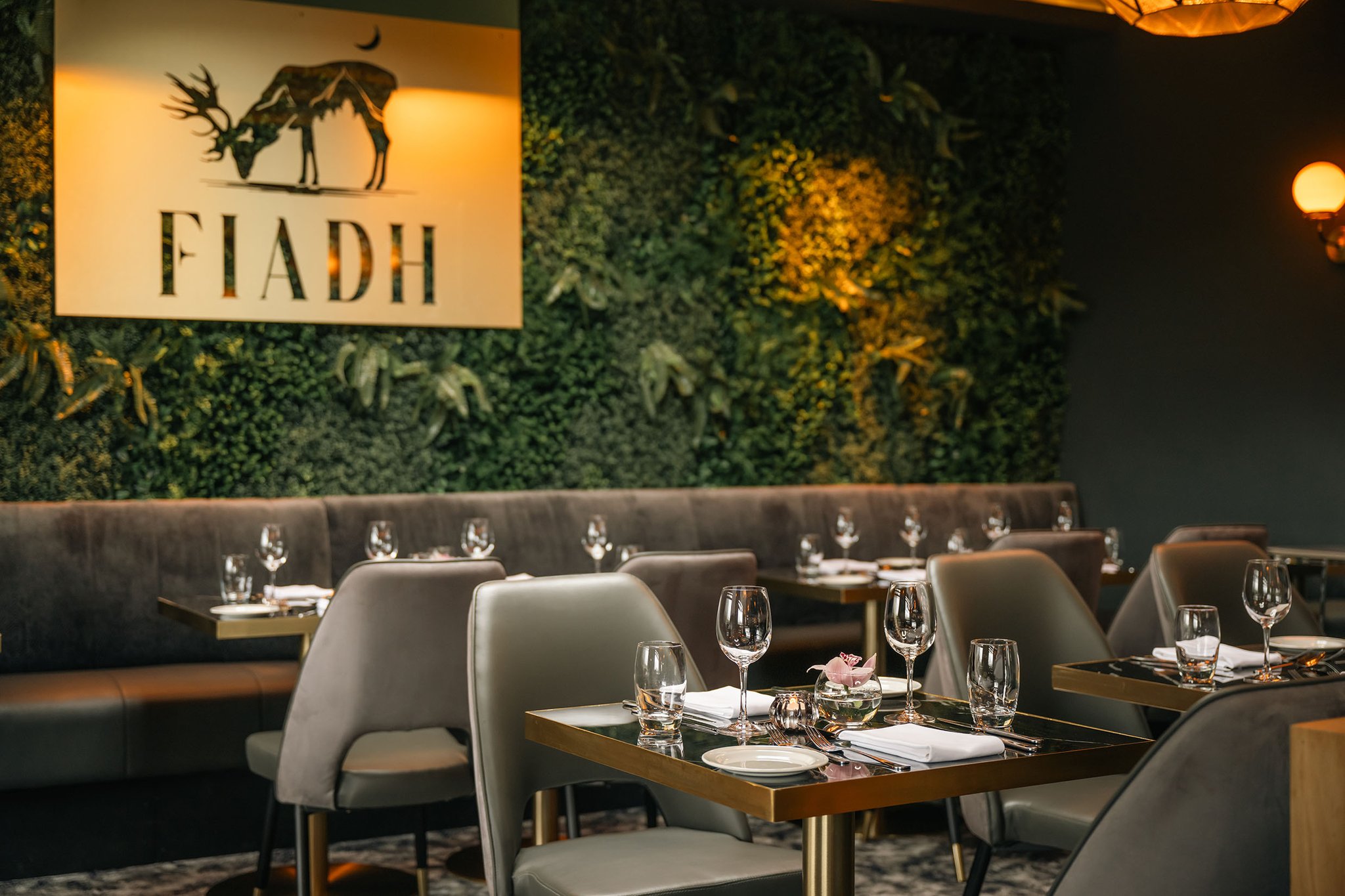 Fiadh_Restaurant_Woodlands_2_S