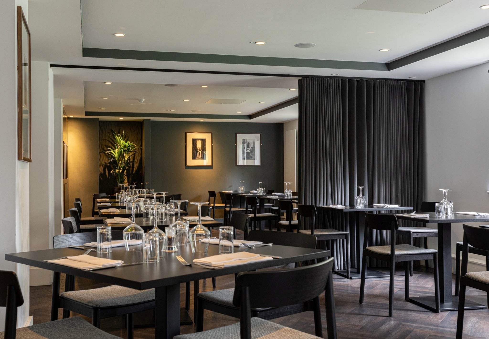 Scholar_Restaurant_._jpg_S