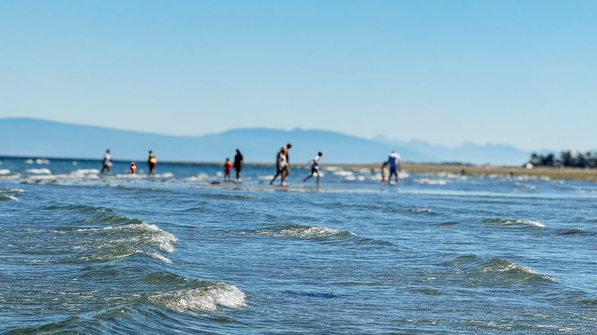 local_attractions4_S