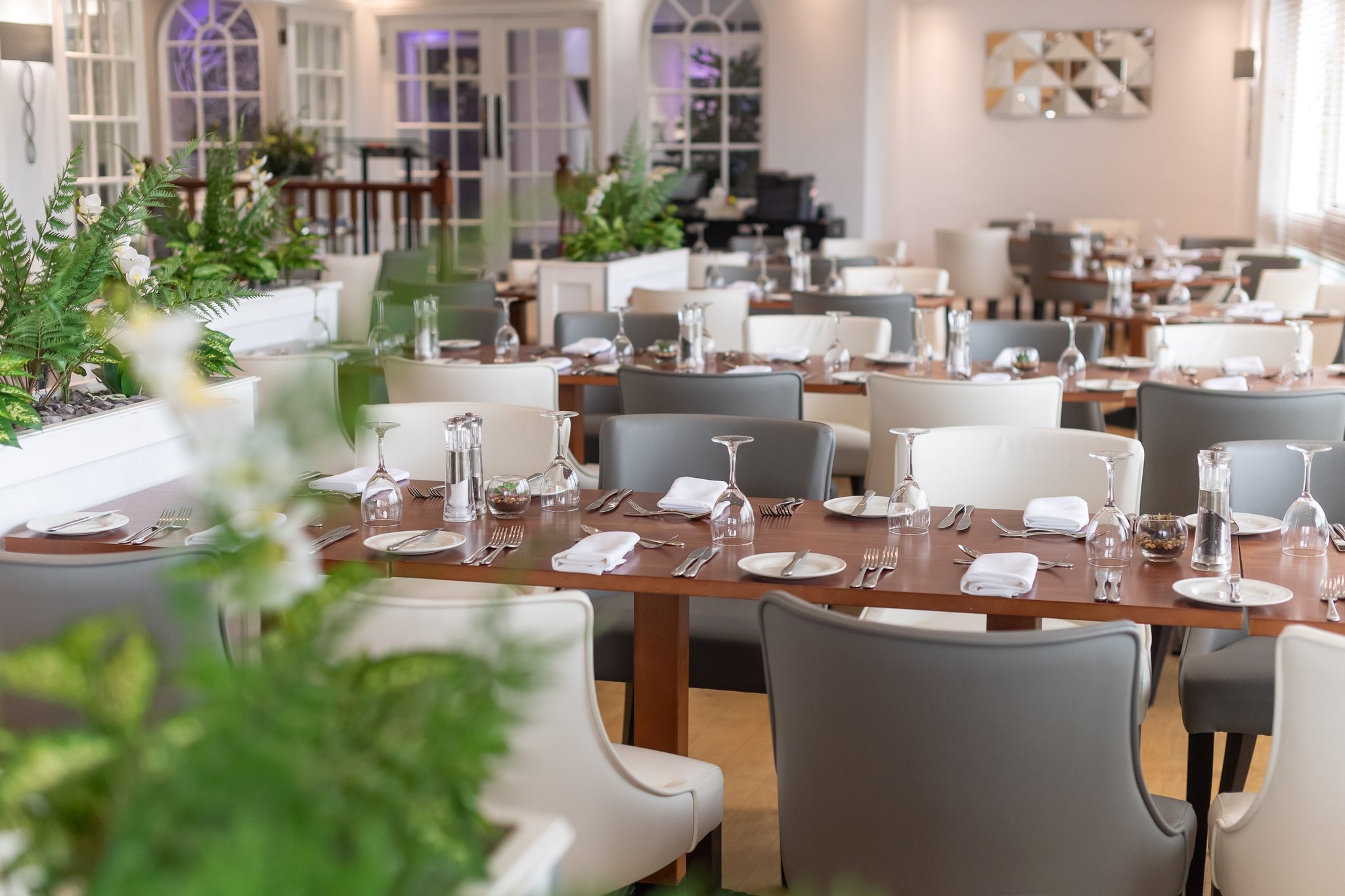 P1pUSfkhkEa7wZX4gZ4b1w_Dining_S