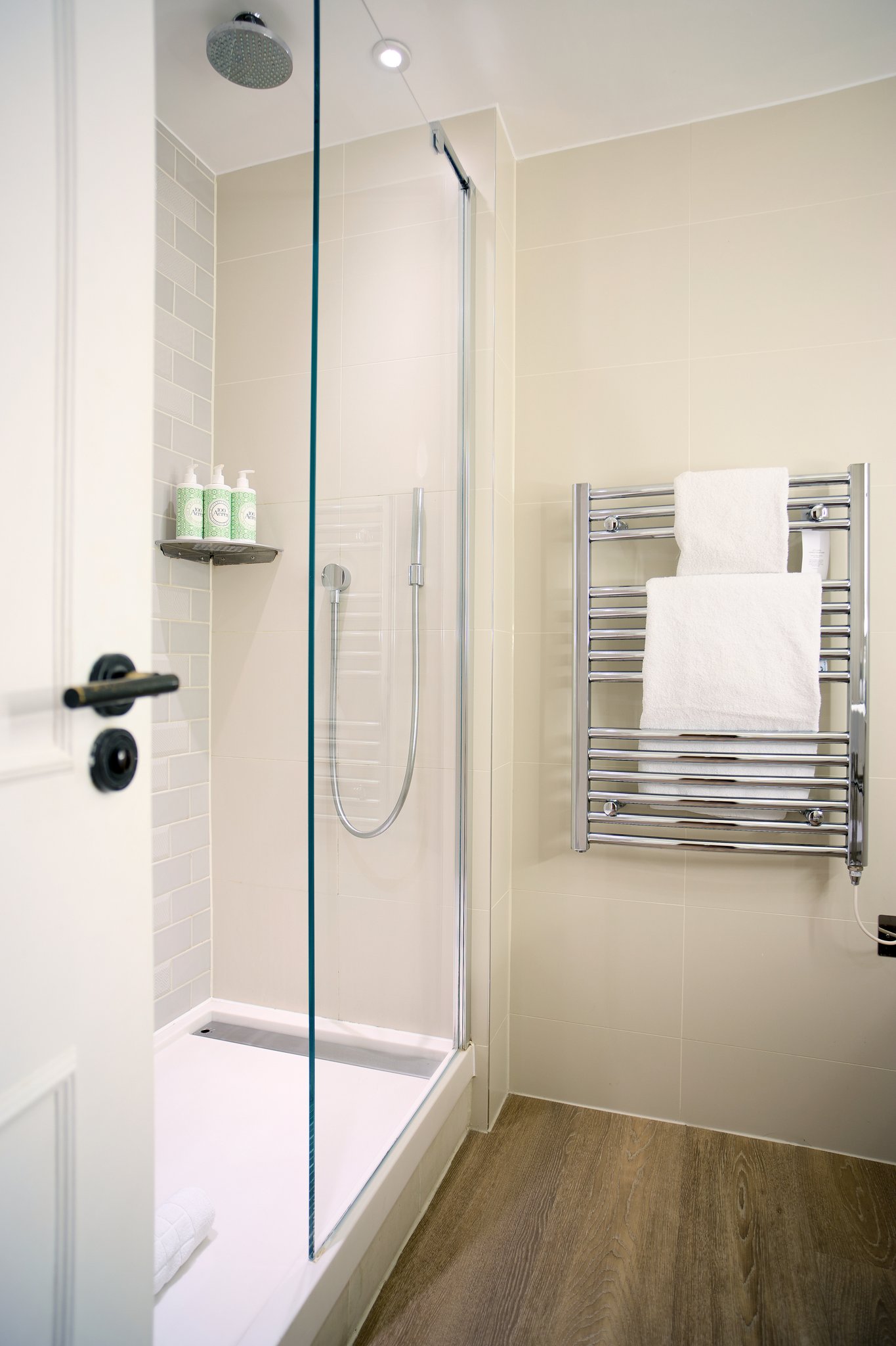 Bathroom_with_shower_in_Classic_bedroom_S