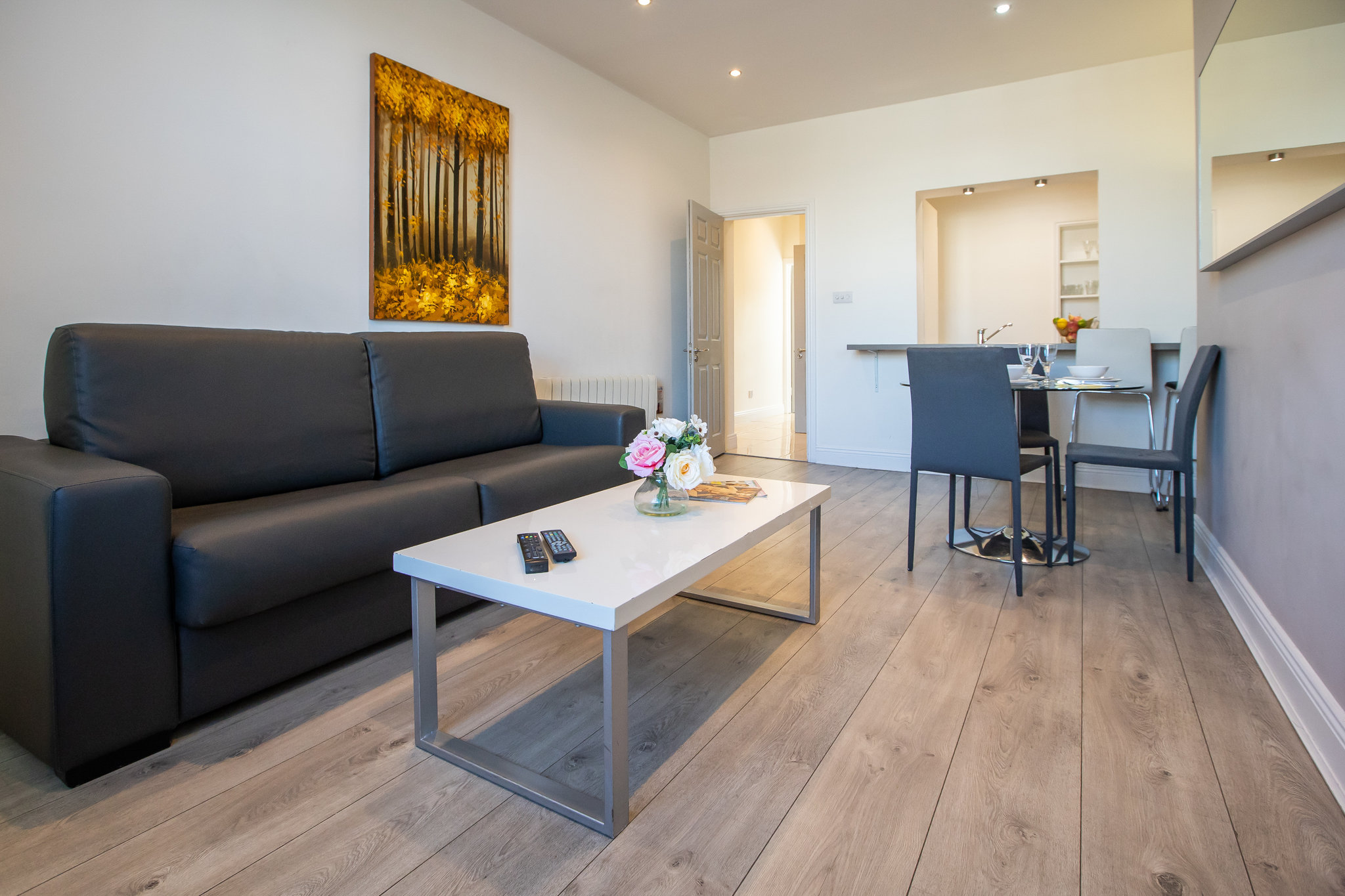 1_Bedroom_Apartment_Wellington_Quay_Living_Room2_S