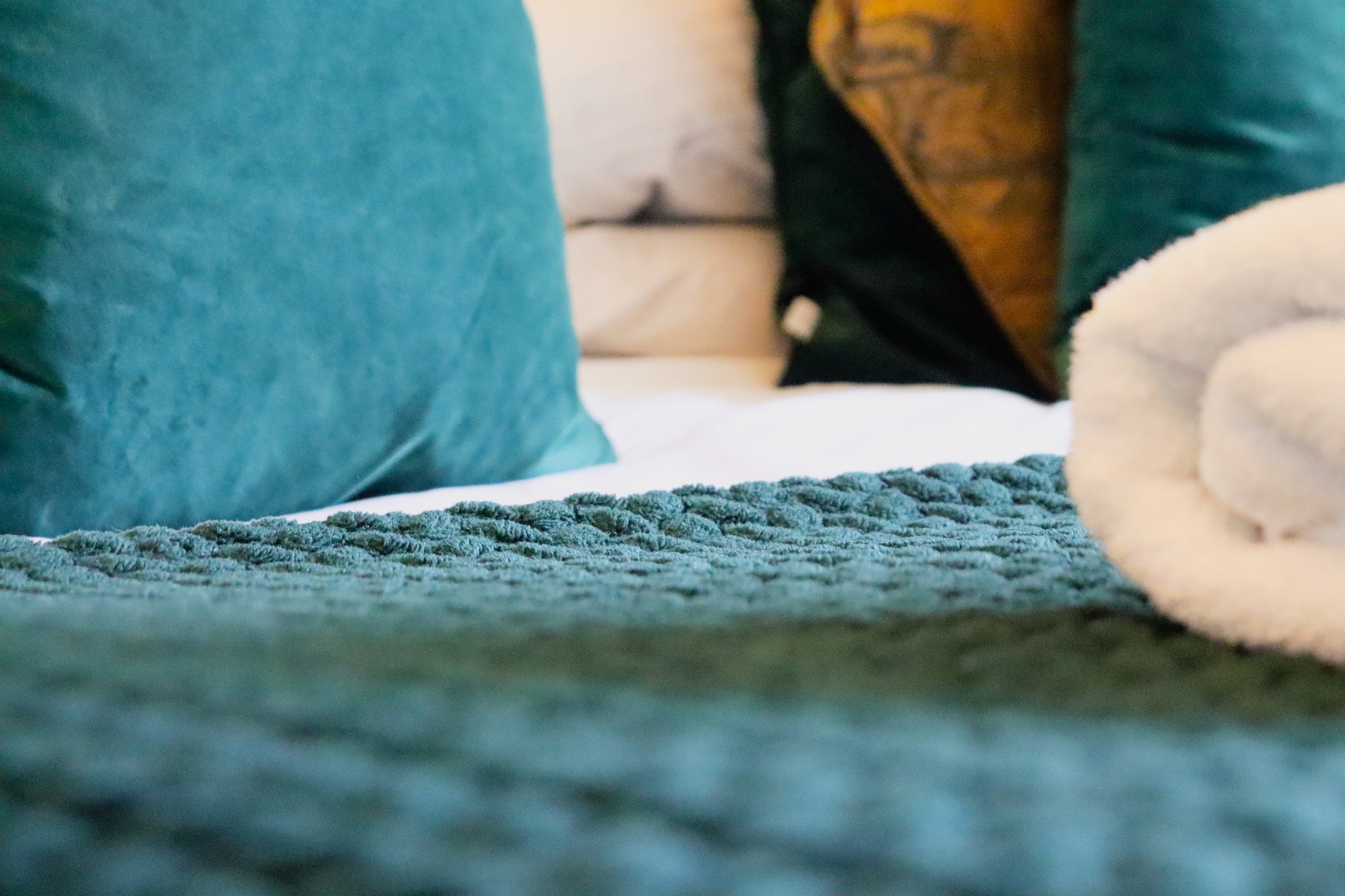 n5u56GEatEqDIxY4fXmQ_Room_8_Superior_Superking_or_Twin-19_S