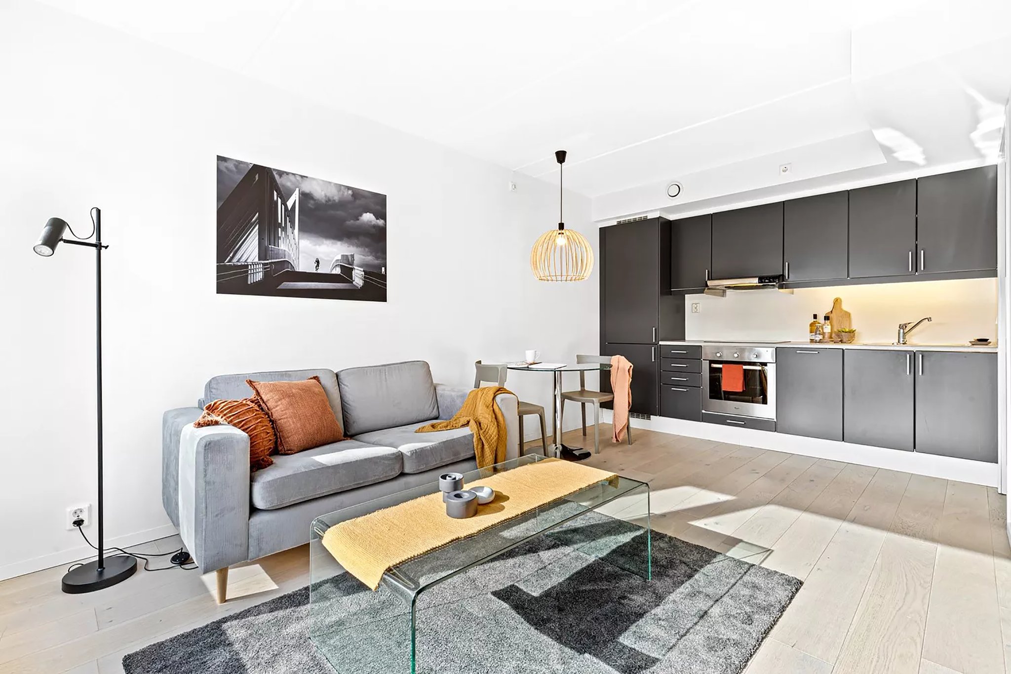 One_Bedroom_Apartment3_S