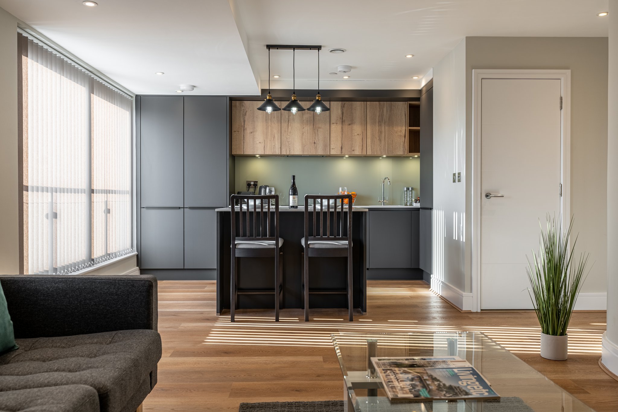 One_Bedroom_Apartment_(4)_S