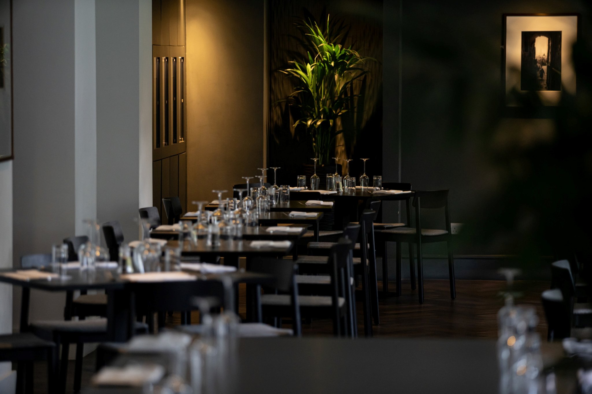 Scholar_Restaurant_1_._jpg_S