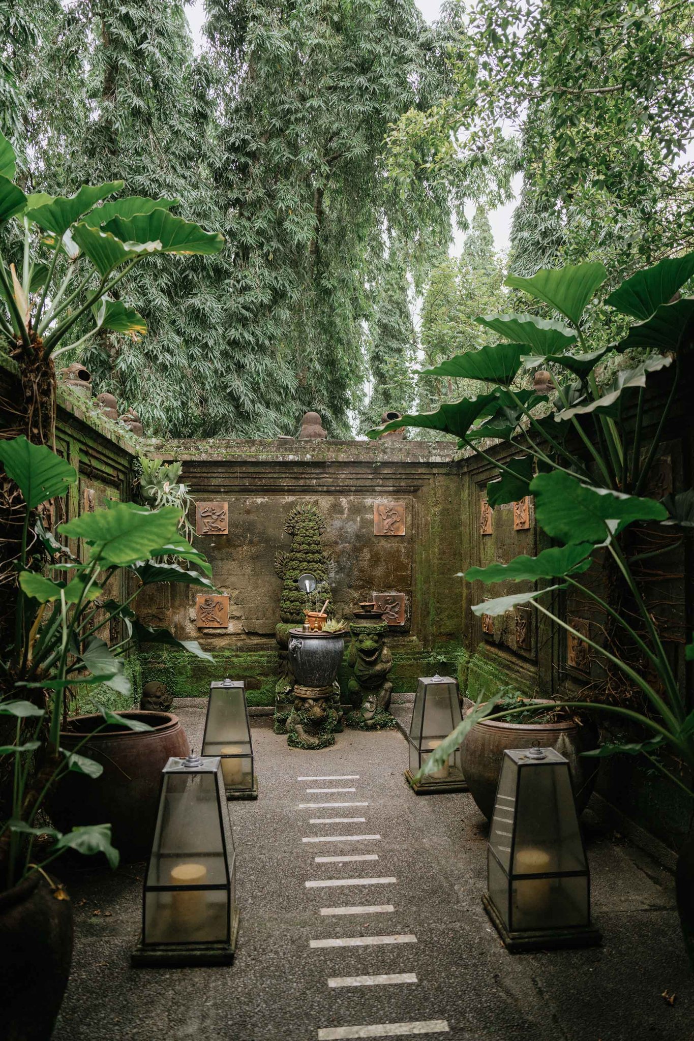 aFpm4iWEx066ybY355YNVQ_Wellness_S