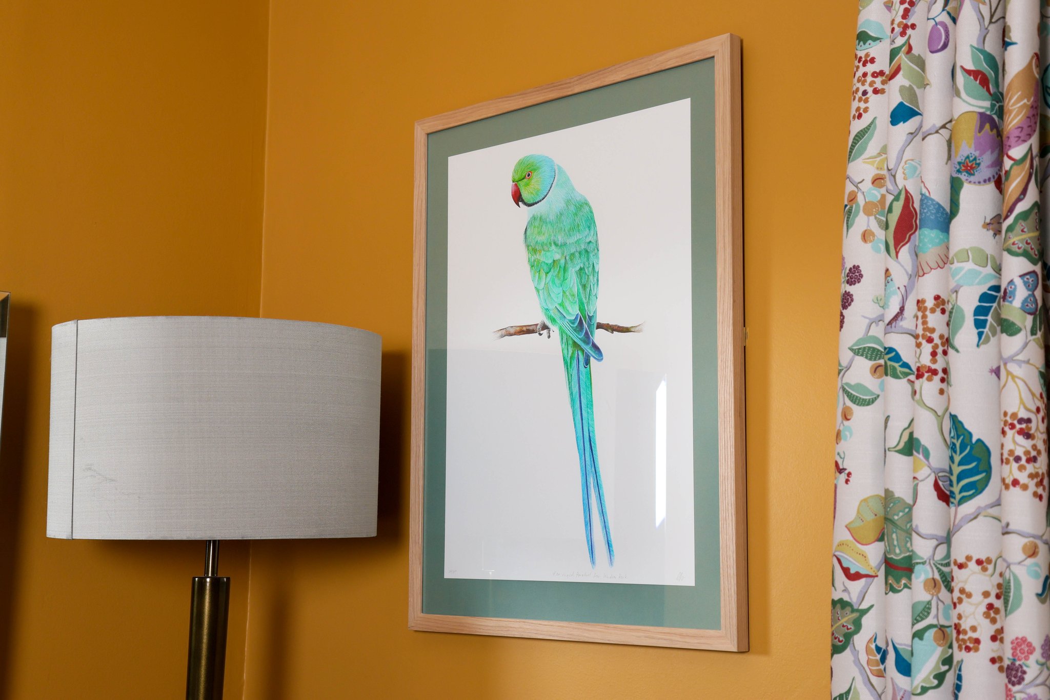 Bedroom_artwork_parrott_S