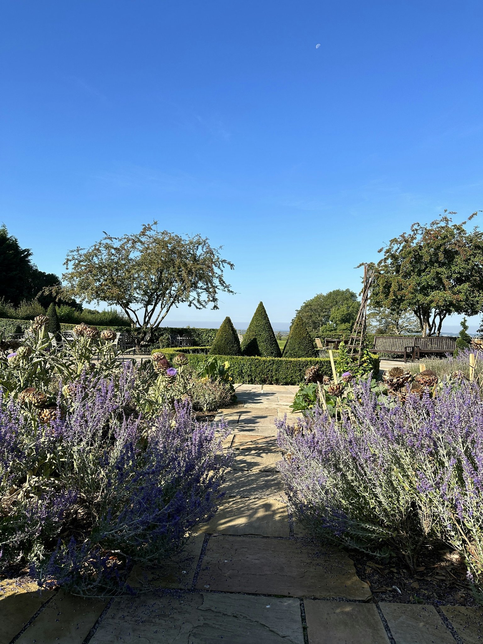 wr2uKDcPGkKew0jO0xUjYg_Garden_View_S