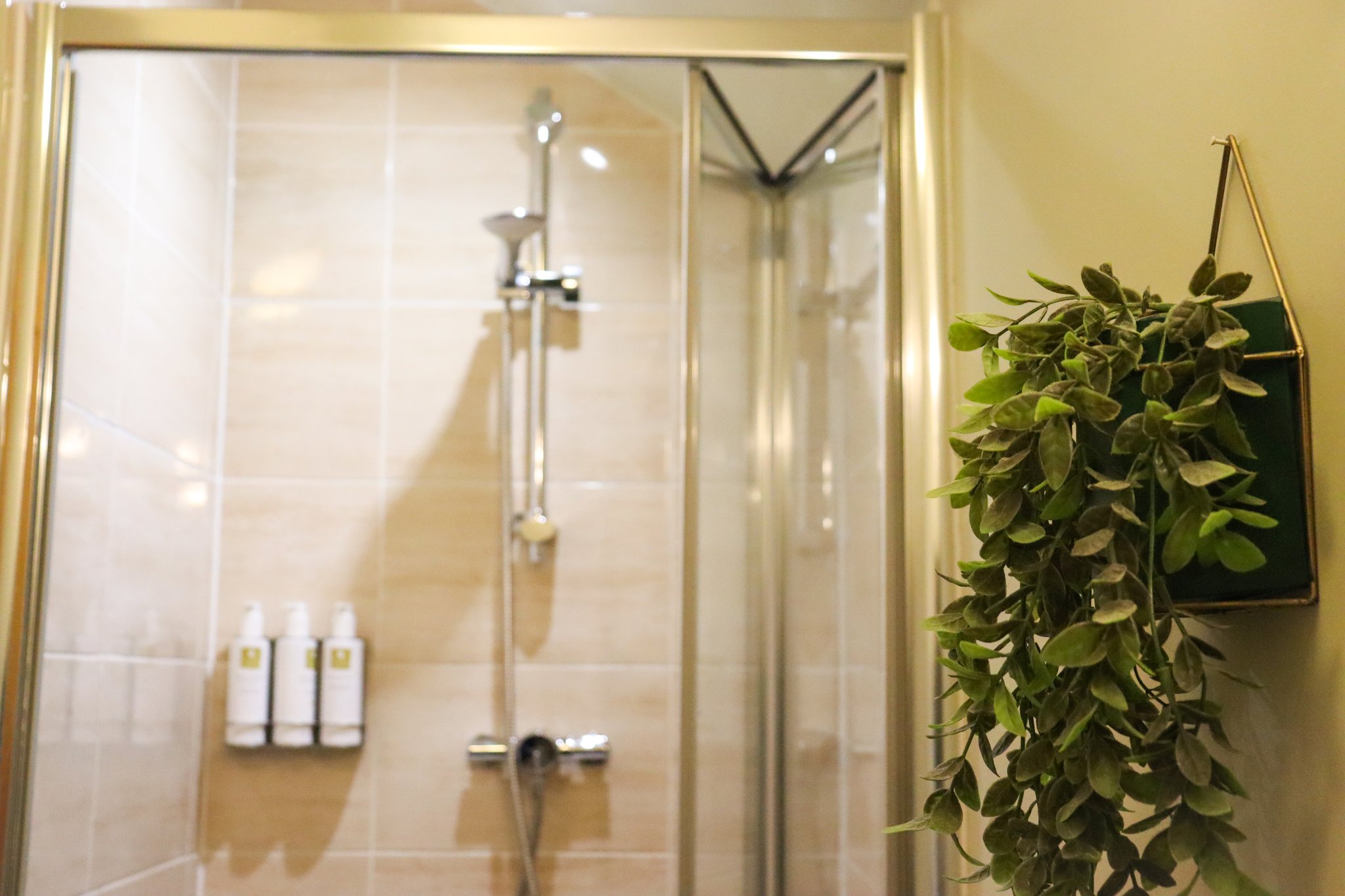 WGE4EzTQHECsGZJbUM8fEQ_Room_8_Superior_Superking_or_Twin-_S