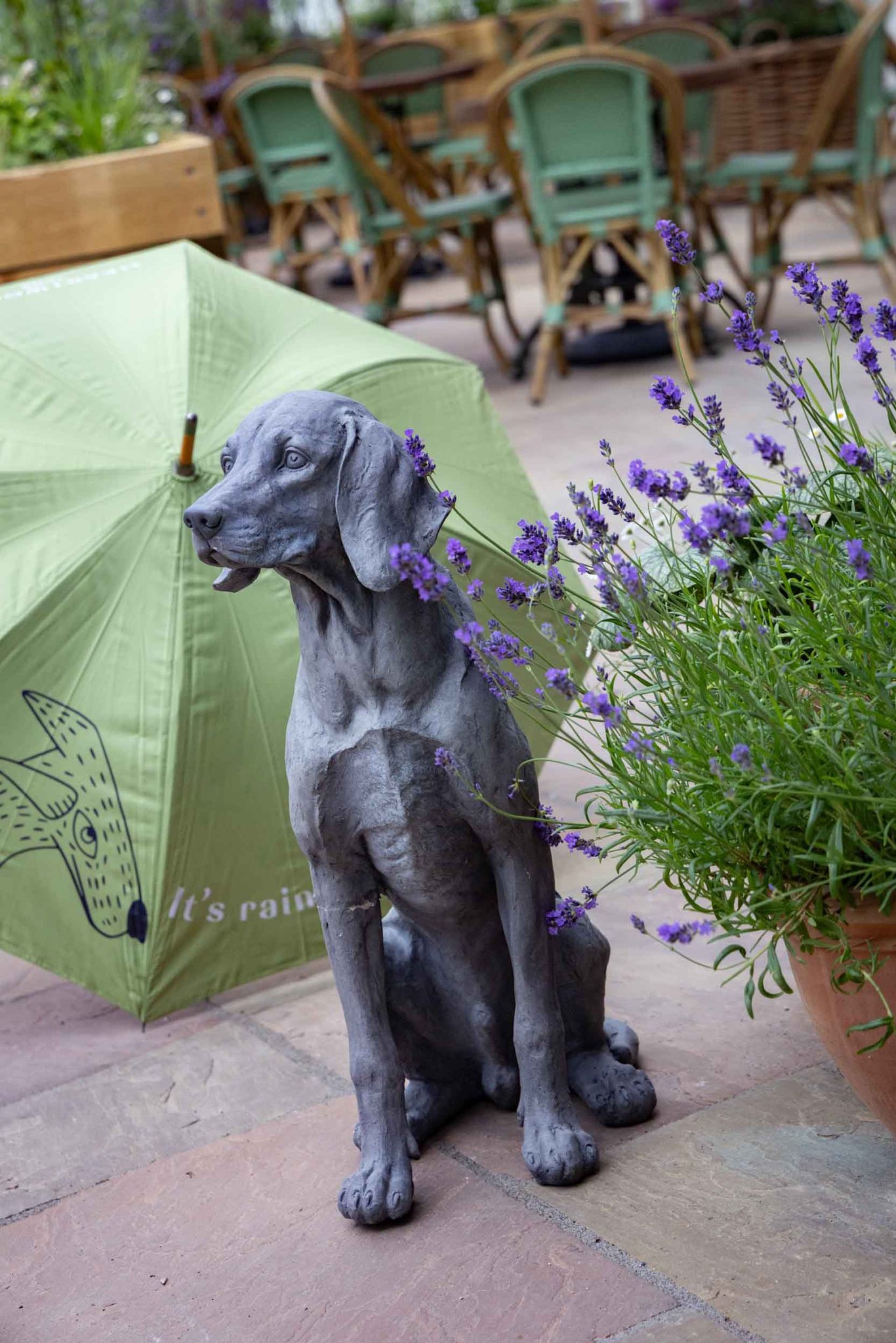 the-ragged-robin-godalming-exterior-095_S