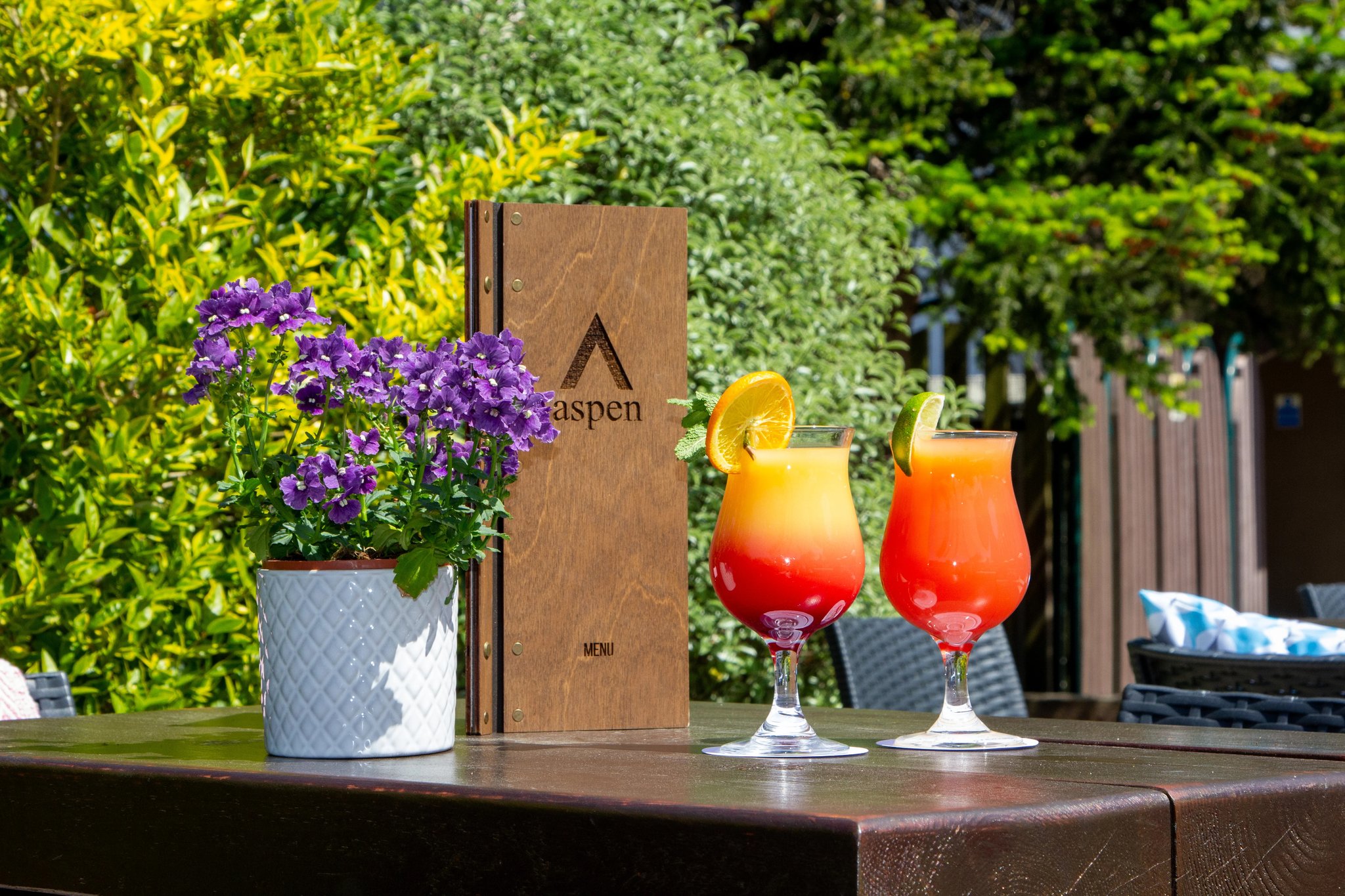 M7Bsujfx1ki5vmjoh8AOg_Terrace-Photos-2_S