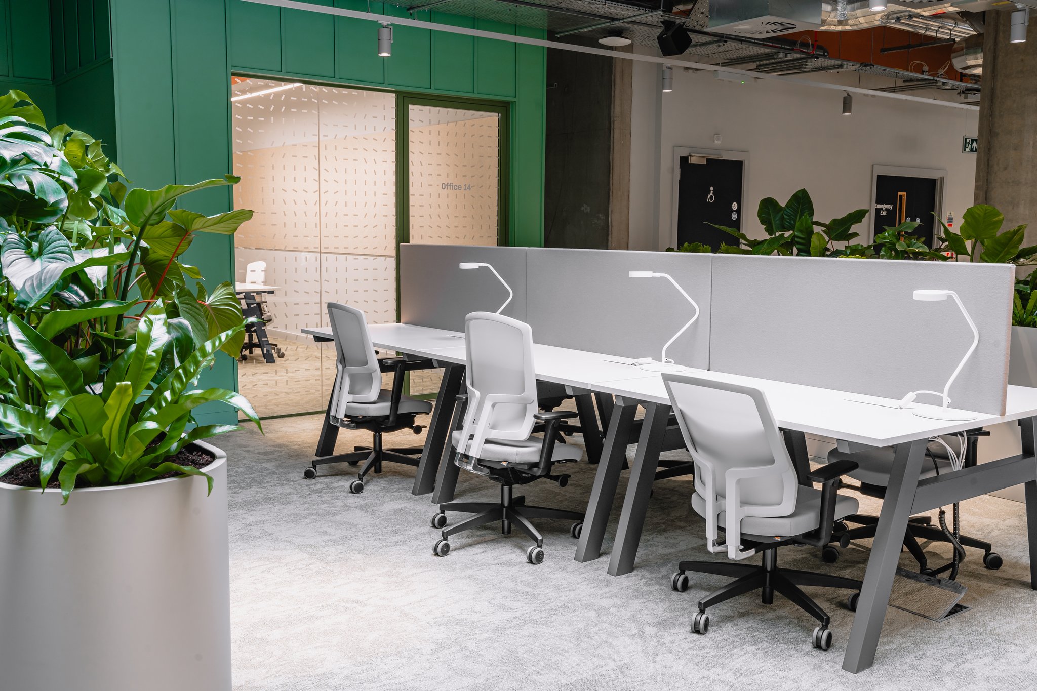 Coworking_Designated_Desk_S