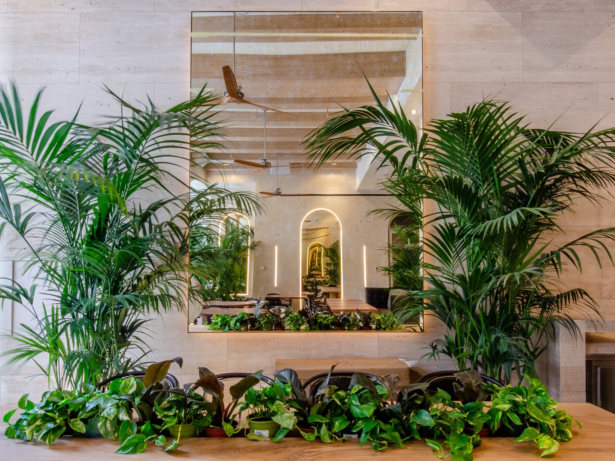 Avenida_Restaurant_and_Bar30_S