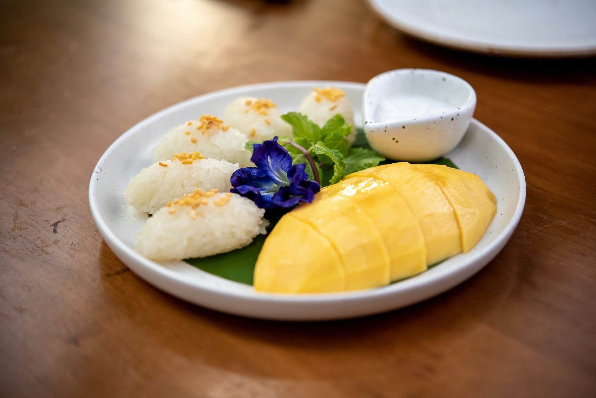 WwvguY98qEaa1ChX06XkXA_Hansar_Elefin_05_S