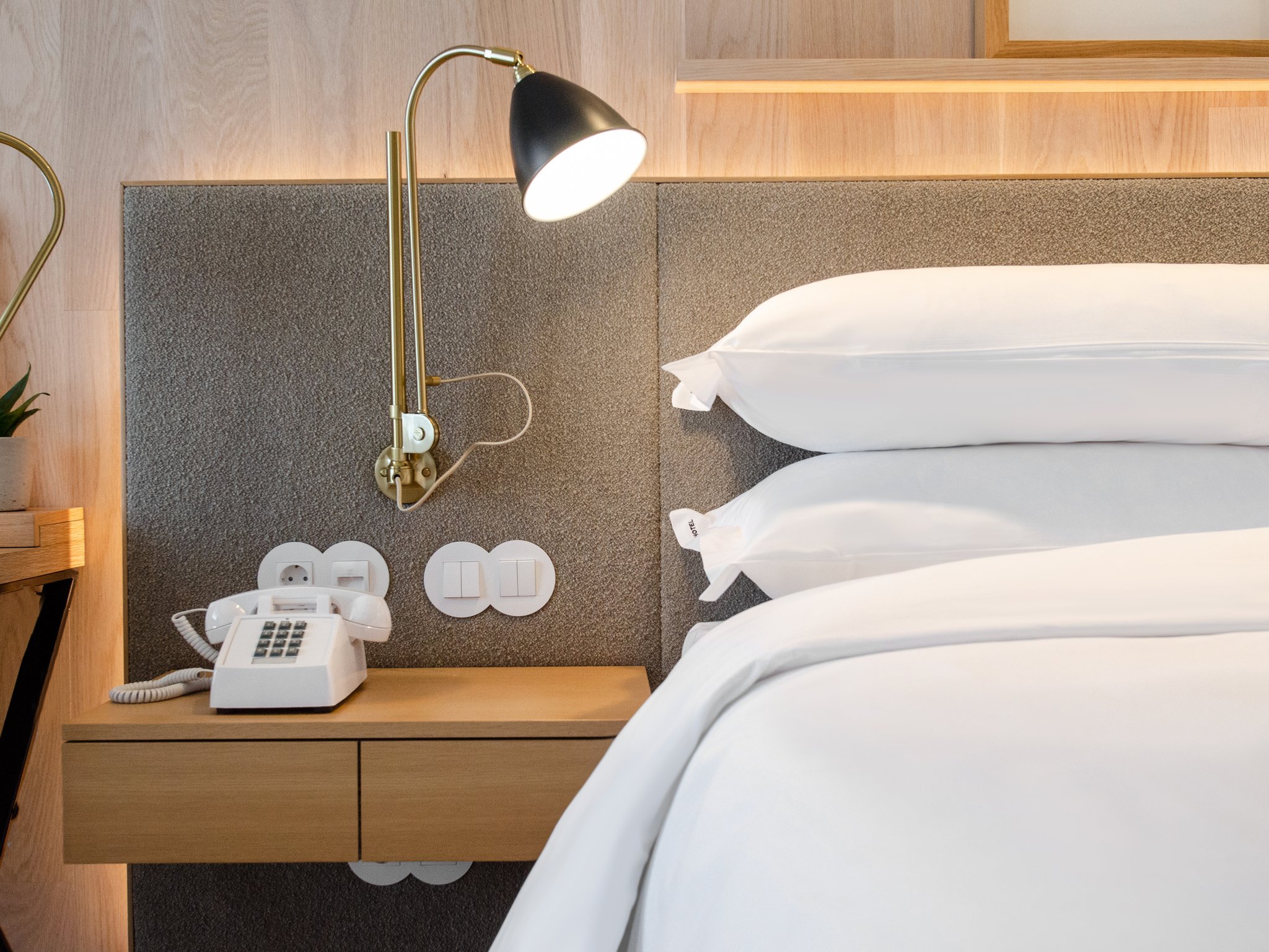 Contemporary_Junior_Suite_Room_S