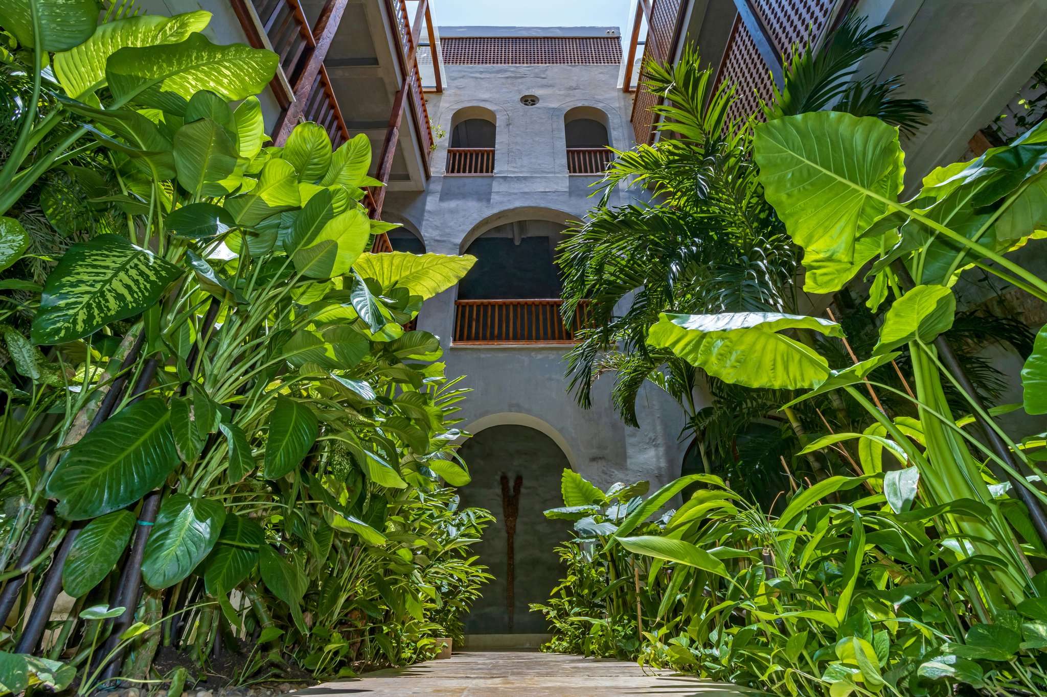 iI6r62IjTk2uhBuwDJqMUw_Interior_Tropical_Gardens_(4)_S