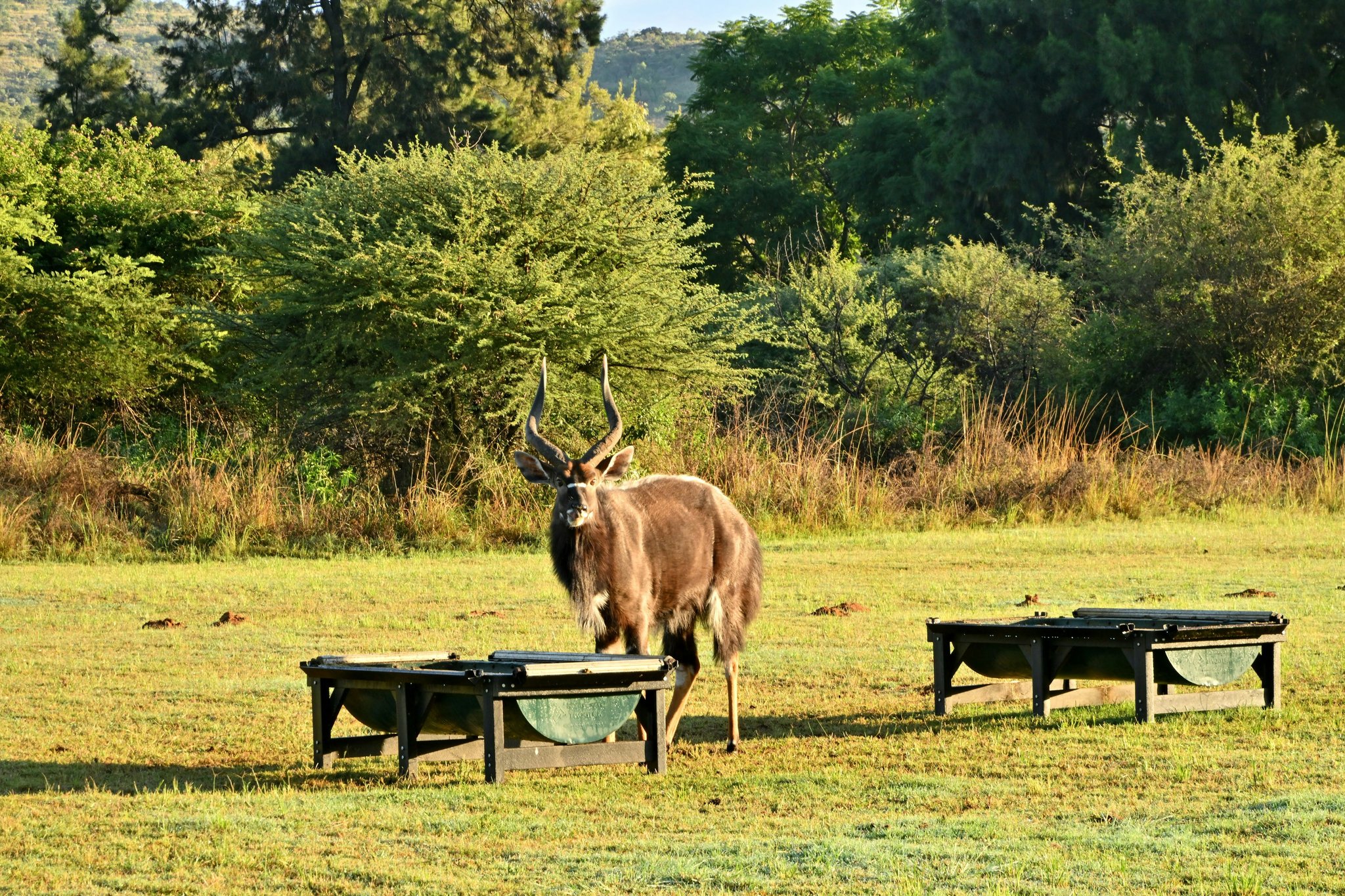 Ur6xvvjIAk2evBgUCRqTeQ_Bon_General_Rustenburg_(9)_S