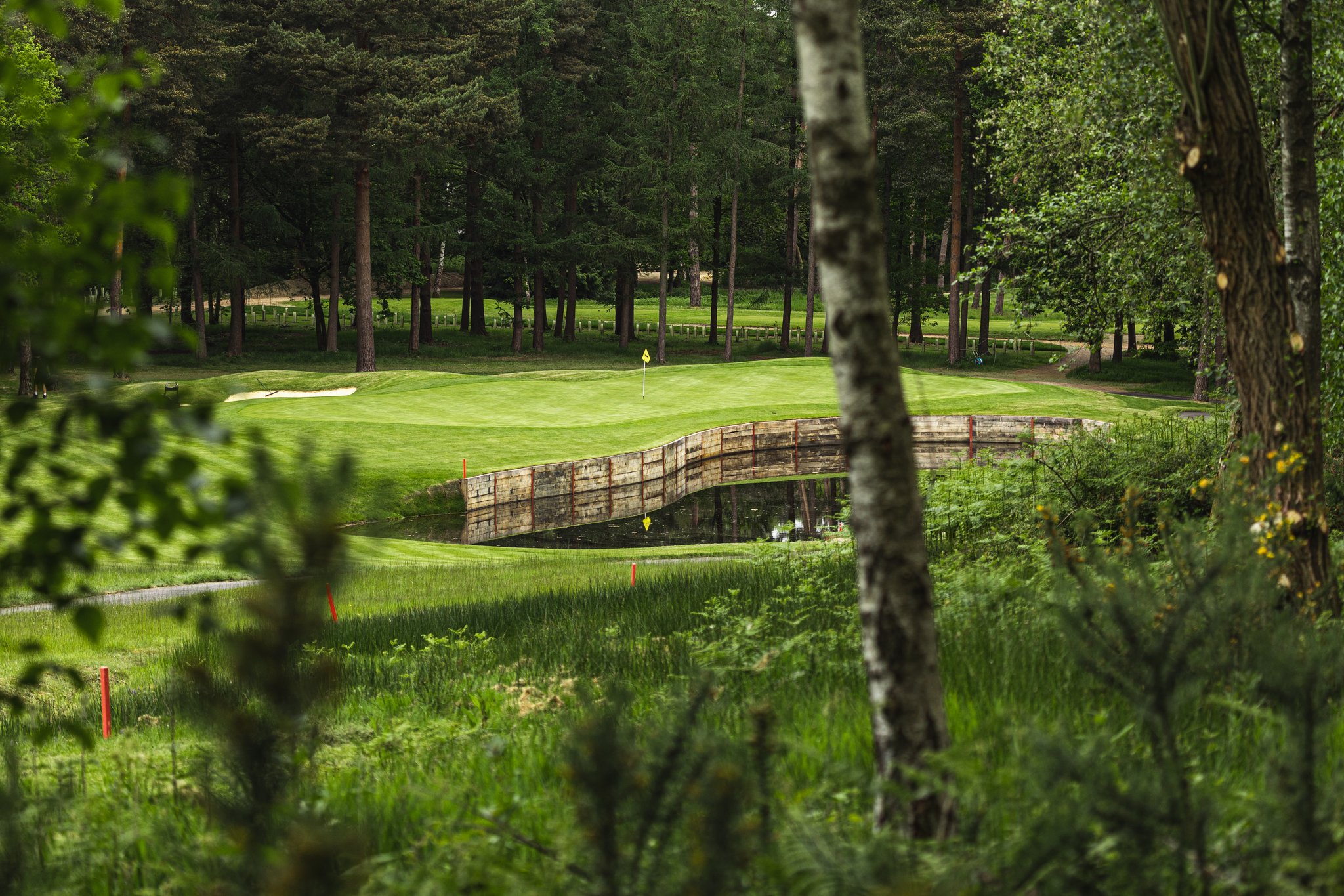 iLnSP4fy8k68un6Fx2WbpA_Longcross_Course_S