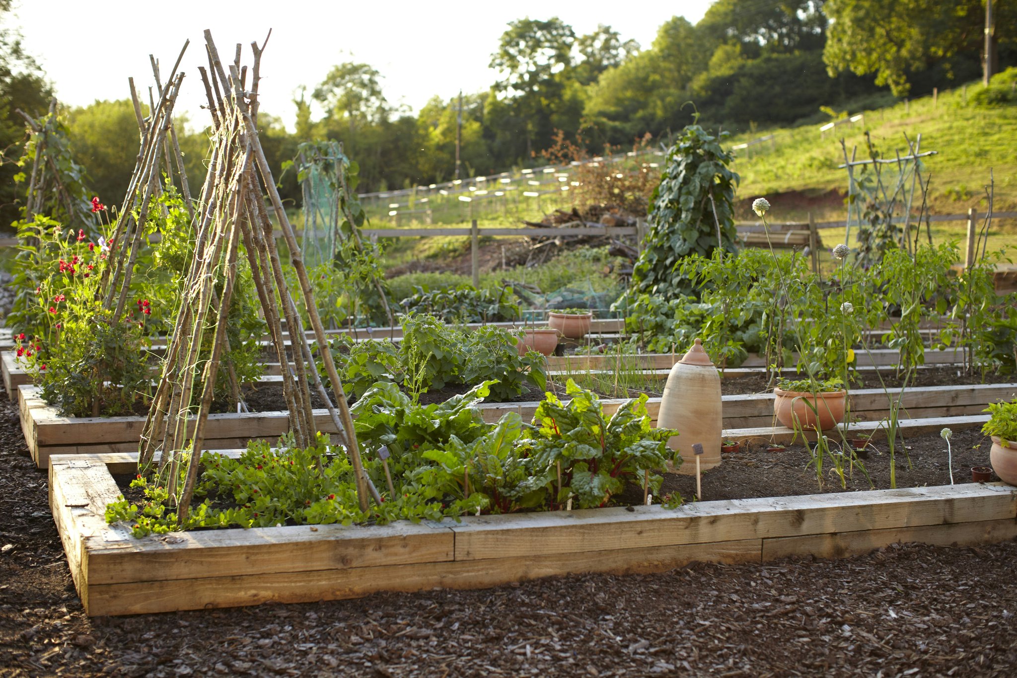 qjzccsu806AD4ZdXFbyZQ_Tudor_Farmhouse_Kitchen_Garden_S