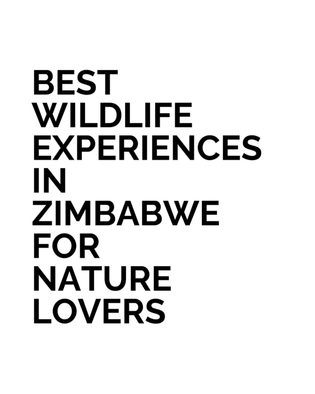 There’s a rhythm to Zimbabwe’s wild places that reveals itself slowly - if you give it time. Mornings in the bush feel cinematic, the kind of stillness that sharpens everything. Out here, tracking, spotting, and waiting become their own kind of luxury. 

The Eastern sun, the silence before a lion call, the texture of dry ground underfoot. Some of the best places to go in Zimbabwe let you stay close to that rhythm without needing to rush. Every hour offers something worth noticing.

Curious where nature still feels completely in charge, but deeply accessible? Zimbabwe’s wildlife moments are some of the most unforgettable in Africa - when are you going?

#BestLovedHotels #hotels #travel #Zimbabwe