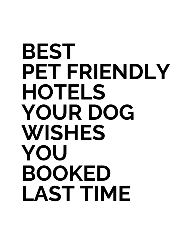 The shift toward pet friendly hotels now carries a different standard. It is less about allowance and more about experience. The best places to go with dogs build the stay around them without compromising on design or atmosphere.

Which of these would you book first?

#BestLovedHotels #hotels #travel #petfriendly