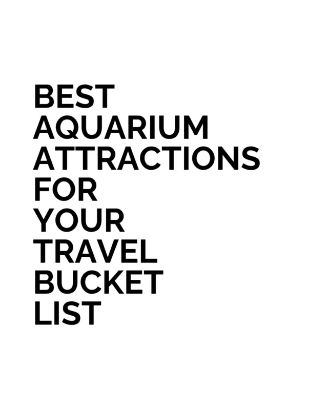 Aquariums make excellent city-break detours because they offer something few attractions can: scale, movement and a completely different visual language. 

Valencia’s L’Oceanogràfic, Singapore’s S.E.A. Aquarium, Lisbon’s Oceanário, Dubai Aquarium and SEA LIFE London each turn marine life into architecture you move through, not simply exhibits you look at.

For travellers who value design, photography and memorable interiors, these are far more than rainy-day attractions.

Which aquarium would you travel to see?

#BestLovedHotels #hotels #travel #aquarium #SeaLife