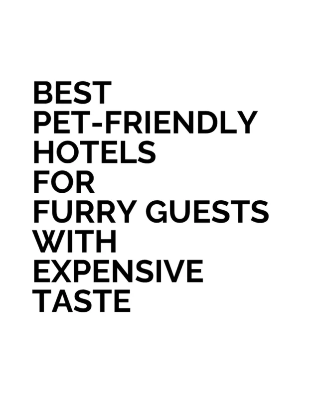 Pet-friendly hotels are shedding the sensible beige. 
 
At Palm House, dogs enter a Palm Beach fantasy of pink parasols and poolside colour. Berlin’s Schlosshotel answers with chandeliers, gilt and leopard print; The Lakes by YOO offers waterside space for longer stays. At The Manor House, carved oak and club chairs turn the country break into grand theatre. 
 
The new luxury guest arrives on four paws and expects character too. Which one earns a place on your dog’s travel calendar?
 
#BestLovedHotels