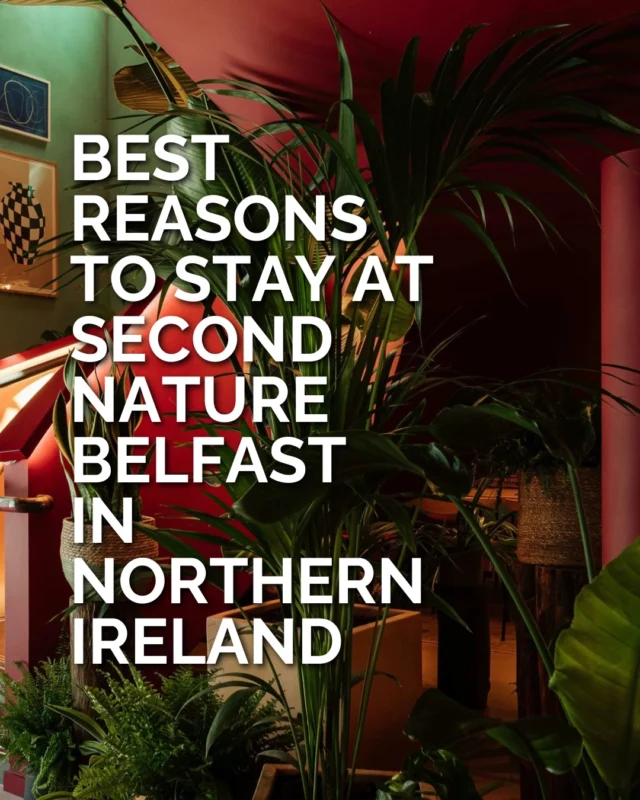 Second Nature Belfast, formerly room2, makes a city break easier to do your own way. A kitchenette means you can have breakfast whenever you wake up, while a 2pm checkout gives you time to enjoy your last morning. 
 
For a weekend in Belfast, that flexibility is a good reason to book. You can go out late and still have a relaxed start the next day.
 
Which of these reasons to stay would put it on your Belfast shortlist?
 
#BestLovedHotels @staysecondnature_